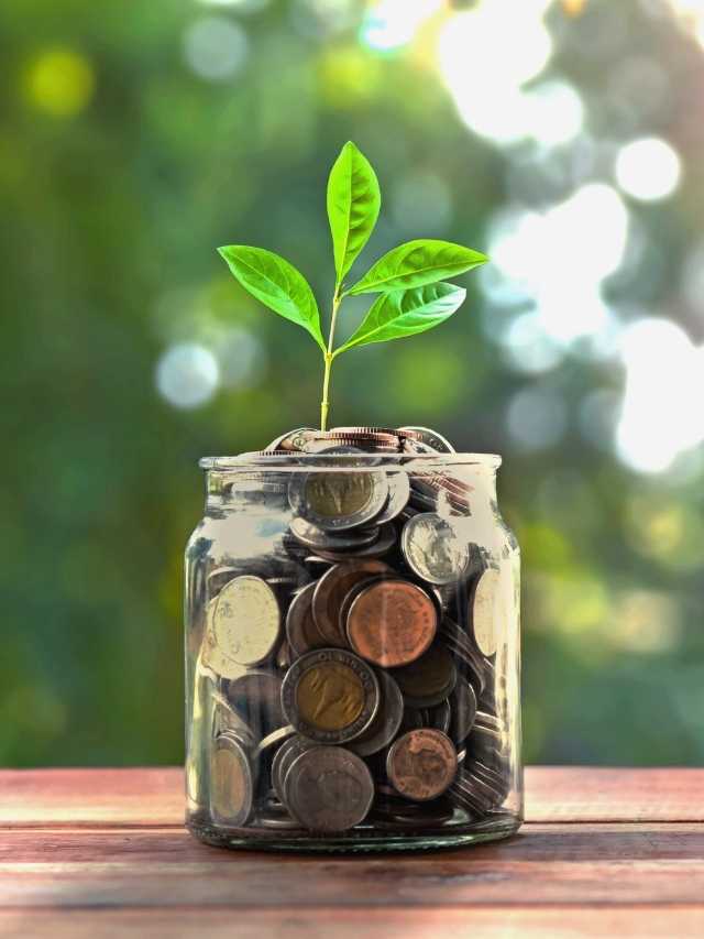 Auxílio emergencial: como administrar?