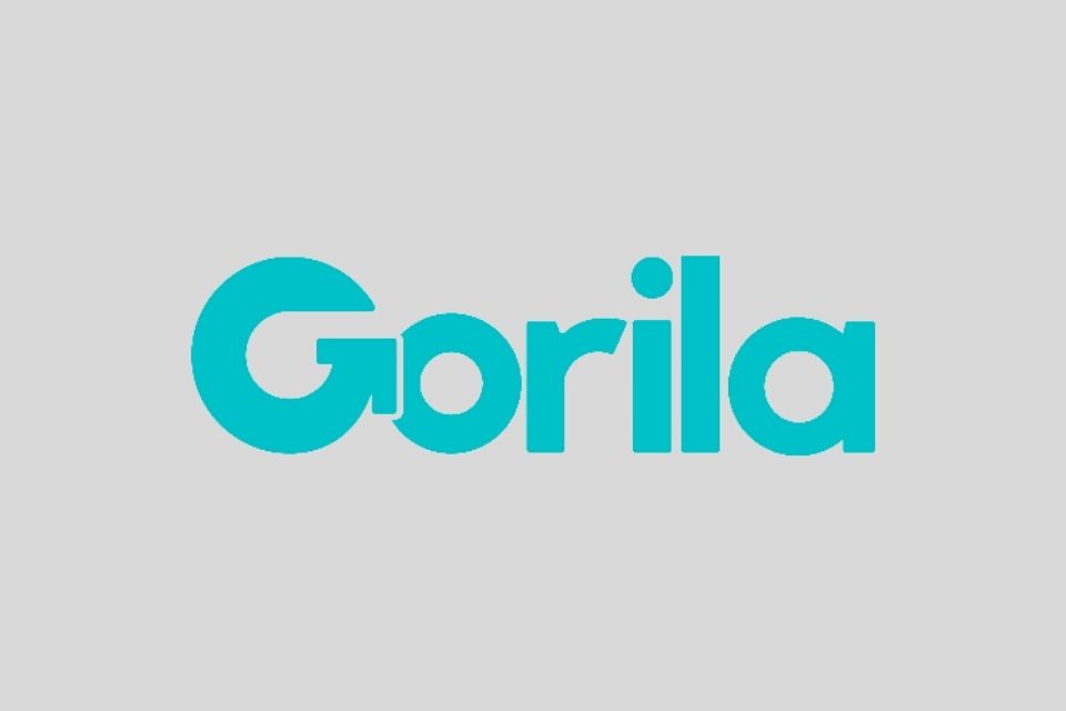 Gorila Invest é seguro? Conheça essa plataforma de gerenciamento de carteiras!