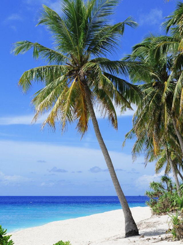 Passaporte Méliuz Nota Fiscal – Concorra a uma viagem