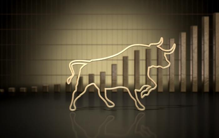 Bull Market: o que significa o Mercado de Touro? Entenda! 
