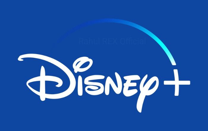 Disney Plus: Qual plano é o ideal para você?