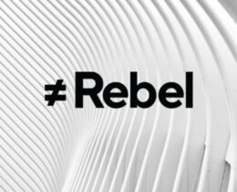 Conheça a Rebel Empréstimo e descubra se é confiável