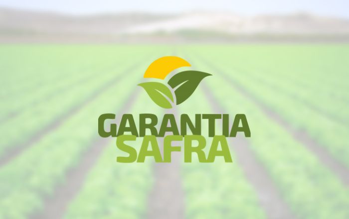 Veja como consultar a Garantia Safra e como funciona o programa