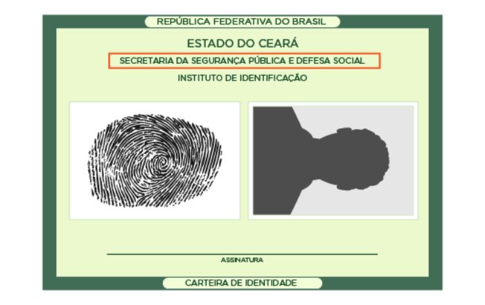 imagem de uma carteira de identidade (rg)
