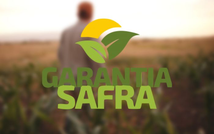 Como consultar o Garantia-Safra pelo CPF? Confira!