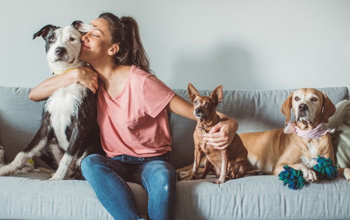 Melhor de plano de saúde para pet: Conheça 4 opções