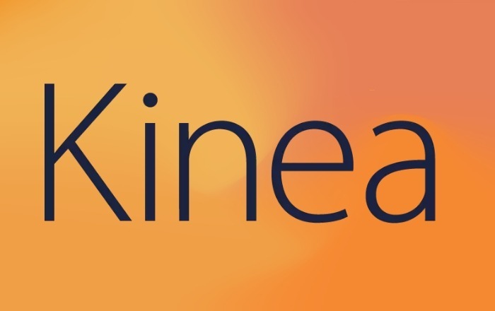 Conheça como funciona a Kinea Investimentos