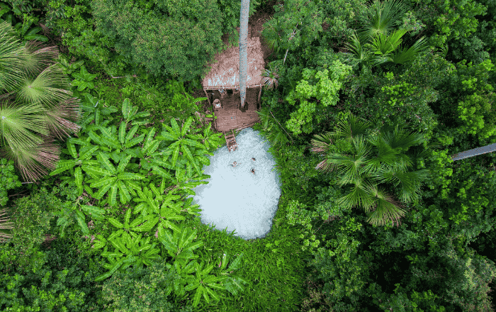 Imagem aérea de um fervedouro no Jalapão cercada por uma densa vegetação tropical, incluindo árvores de folhas largas e palmeiras, em um ambiente de floresta, representando lugares para viajar em setembro.