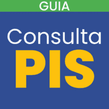 App Consulta PIS